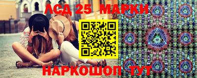 крисы Гусев