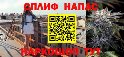 крисы Гусев